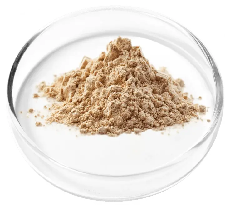 Bearberry Uva Ursi in FemiCore bladder supplement